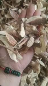 Trà rễ hoàng kỳ nam khô