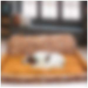 เบาะนอนใหญ่โซฟา สัตว์เลี้ยง