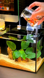 SAND WHITE SAND AQUARIUM TERRARIUM FISH TANK AQUA SCAPE SUBSTRATE