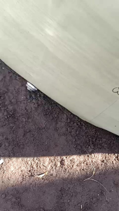 Kolam Terpal Bulat Tanpa Rangka Tinggi 60 cm