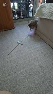 Cat Teaser Angel Magic Wand Bite-resistant Cat Toy Cat Boredom Relief