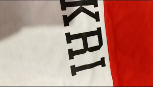 KAOS MERAH PUTIH/KAOS LENGAN PANJANG/KAOS FASHION/KAOS KATUN PREMIUM/HUT 79/1945/ INDONESIA MERDEKA /015