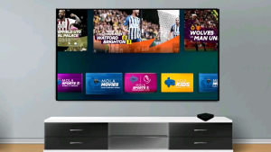 LED TV POLYTRON 24 INCH SMART PLD-24CV1869/PLD24CV1869 DIGITAL TV NEW SERIEA