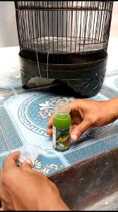 RUJAK NEKTAR 100ml pakan harian kolibri pleci sogon semua jenis burung pemakan buah nektar VITBACK