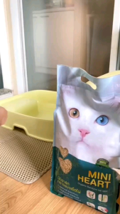 มินิ 6ลิตร ทรายแมวเยื่อ 8ลิตรย่อยสลายธรรมชาติ ชักโครก เทียบเท่าทรายเต้าหู้