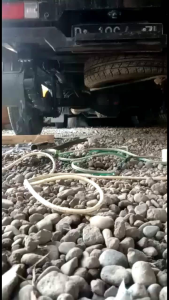 Kenalpot Jet Bus SOS SWOS SUOS Model Baut Mobil Grandmax Luxio APV Carry Futura L300