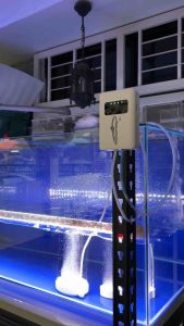 AQUASPEED AR-2 AC/DC Air Pump Aquarium Oxygen Back Up USB Charging Portable Air Pump Battery Pam