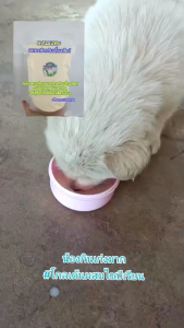 ผงนมแพะแท้(200กรัม×2ถุง) นมผงสำหรับเลี้ยงสัตว์ คุณค่าทางอาหารสูง (สุนัข แมว แพะ แกะ ชูก้า กระรอก วัว ควาย ม้า ลา)