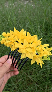 หวีสับ หวีดอกไม้ หวีสับดอกคูน สวยๆ หวีติดดอกคูนน่ารักๆ พร้อมส่งจากร้านชาชาโบว์