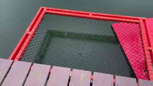 ตาข่ายนอนเล่น เปลตาข่าย ตาข่ายคาเฟ่ ร้านอาหาร ขนาดโครง 2x2 เมตร