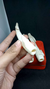 Pipa Cangklong Tulang Sapi Ukir Bambu Petuk H25