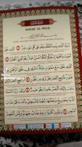 FLASH CARD SURAH AL MULUK TAJWID BER WARNA SETRA TERJEMAHAN 30 AYAT LENGKAP AL QURAN