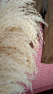 Celana Chino Panjang Anak Laki laki Perempuan usia 1-12th