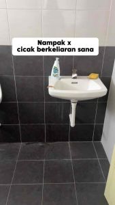 CC Lizard Repellent Spray Cicak Spray 1200ml (White) Lizard Killer Spray Spray for Walls & Corners Lizard Spray Insects Keep Lizards Away