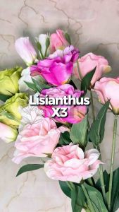 [LISIANTHUS X3] BUNGA PALSU LISIANTUS CABANG 3 BUNGA TANGKAI PANJANG MENJUNTAI VAS BUNGA HIASAN RUANG TAMU DEKORASI PELAMINAN KAWINAN BUKET BUNGA WEDDING DECORATION ARTIFICIAL FLOWER SURABAYA PUSAT GROSIR MURAH BUNGA KAIN PLASTIK PREMIUM