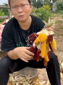 (KEMASAN PREMIUM) BENIH/BIJI JAGUNG YELLOW MINI STRAWBERRY POPCORN