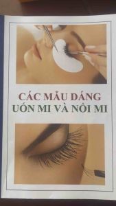 CÁC MẪU DÁNG UỐN MI VÀ NỐI MI HIỆN ĐẠI NHẤT HIỆN NAY