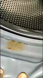 🔸LKB Washing Machine Tank🔸LKB洗衣机槽除霉啫喱