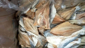 COD ikan asin jambal utik/ikan asin anak jambal utik super 1kg