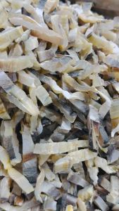 [Ready Stock]Isi Malong Gred A/Salted Fish-100g/200g/500g