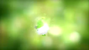 Gạc răng miệng Dr.papie (30 gói/hộp)