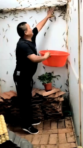 Wiselie Aromatic Spray Pengusir Cicak dengan Formula Dijamin Ampuh 100% Mengusir Cicak Secara Efektif