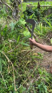 Congkrang full baja super tajam/bisa untuk babad rumput rantingbabad bambukayu dan rumput