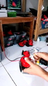 Klakson keong + modul putus2
