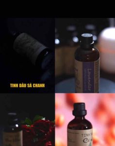Tinh dầu nước hoa tự nhiên thơm phòng khử mùi ô tô thanh lọc không khí xua đuổi côn trùng dung tích 50ml