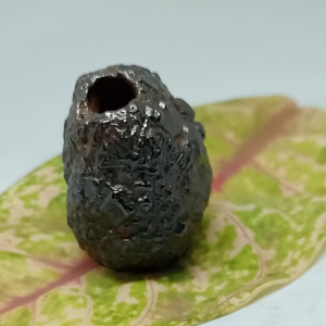 batu mustika lipan istimewa