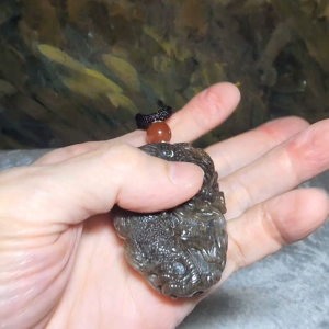 Premium Nephrite deep caramel & white hand carved 3 dimensional Dragon & Peanut handheld large pendant (with certificate) 精品且末和田玉糖白生意兴隆(龙、花生)手把件(带证书)