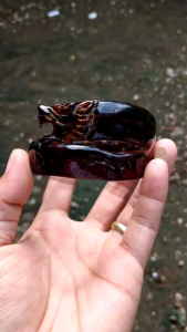 Gelang Akar Bahar Merah Asli Natural Ukir Macan Samping