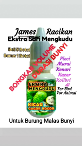 KicauGacor  Burung Kenari Murai Lovebird Pleci Kacer Trucuk Kolibri Perkutut Ciblek Dll.