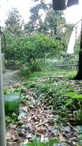 (10 - 20 cái) Béc vít phun xoay 360 độ phi 21 27 thương hiệu Tài Phúc