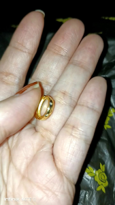 Legit Silver Gold Plated Clip Stone Earrings (CL004)