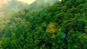 Chế Phẩm sinh học ALTACH 5 EC thuốc trừ sâu 250ml  ( Fatac cũ)