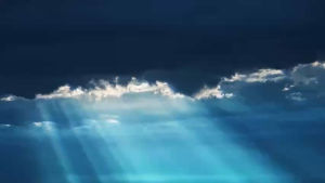 ATONIK thuốc kích thích sinh trưởng cây trồng chính hãng ADC