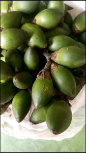 Buah pinang muda fress