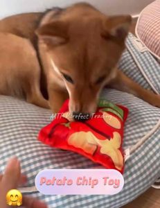 Pet Toy Dog Chewing toys/Cat Chewing toys 3D仿真食物玩 Pet Toy Dog Toy for bite Puppy Cute Soft Plush Toy Squeaky Stuffed Toy 狗狗猫咪发声玩具