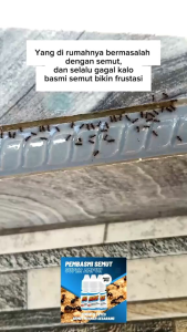 Racun Semut Super Ampuh: Solusi Pengendalian Hama