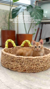 HUGeARNS - Tempat Tidur Kucing Anjing Pet Bed Sarang Hewan Peliharaan Kasur / Rumah Kucing / Keranjang Kucing / Ranjang Kucing Premium / Perlengkapan Kucing Dan Hewan / Kasur Kucing Berkualitas / Alas Tidur Kucing Atau Kelinci Premium Pet Bed / Kasur