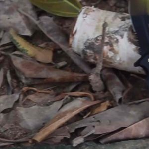 มีดพับ Home Outdoor Multifunctional Swiss Army Knife มีดพับ มีดพับแบบพกพา Camping Field Survival Blade ความยาว 20ซม สแตนเลส Sharp มีดปีนเขา มีดแคมป์ มีดพับ