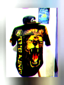 Kaos Pria Terbaru / Setelan Pria / Jersey Printing / Kaos Harimau / Jersey Macan