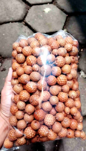 Biji rotan 1 kg - biji rotan bulat - buah rotan - jerneng - buah manau - bahan kerajinan tangan - bahan kerajinan rustic