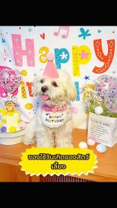 ชุดหมวกวันเกิดและผ้ากันเปื้อนสำหรับสัตว์เลี้ยง - สำหรับงานปาร์ตี้วันเกิดแมวและสุนัข เครื่องประดับที่น่ารัก สนุกสนาน และสวยงามสำหรับวันพิเศษของสัตว์เลี้ยงของคุณ