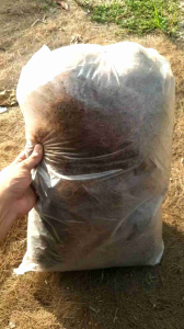12 LITER COCOPEAT FIBRE/SERAT KELAPA SABUT KELAPA KASAR