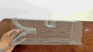 Bẩy rắn mối có ngăn để dế riêng size 10*10*30