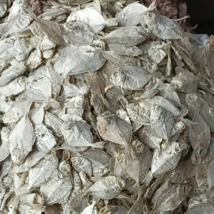 ikan asin petek cop kecill