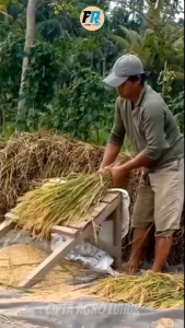 SPESIAL 1 LITER  BOMA ORI rajanya pengusir hama paling efektif dan mengandung zpt