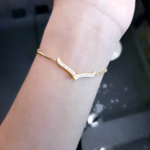 Gelang Serut Fuji Titanium Xds877